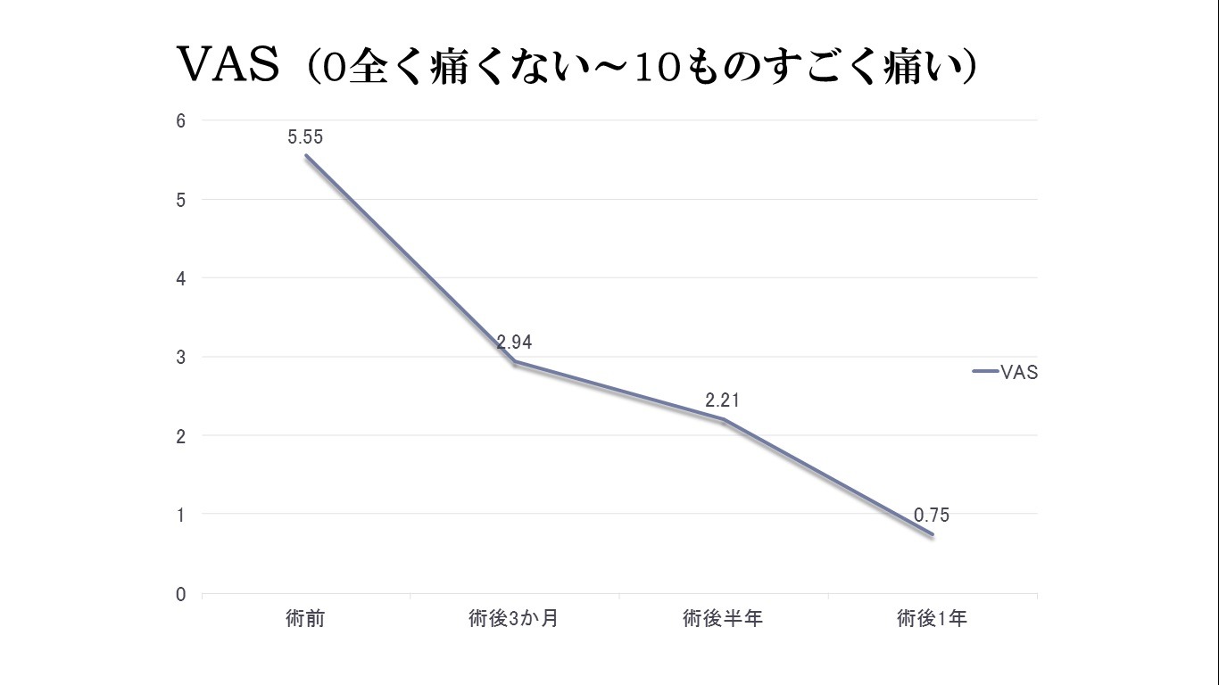 VASスコアグラフ