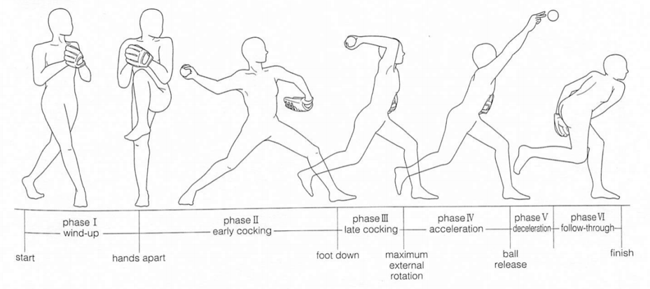 各Phaseでの疼痛と鑑別
